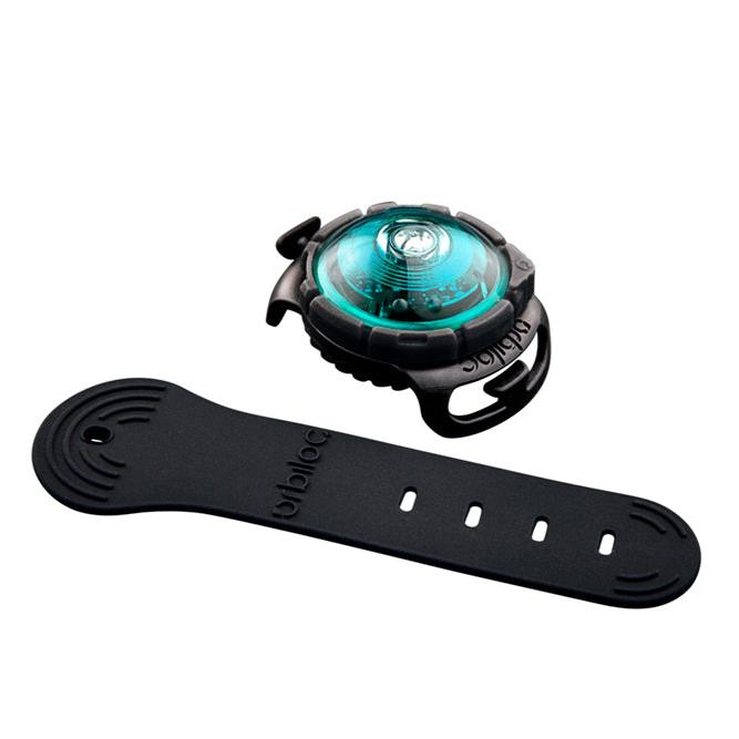 Orbiloc-Dog-Dual-Sicherheitslicht-Turquoise-Strap