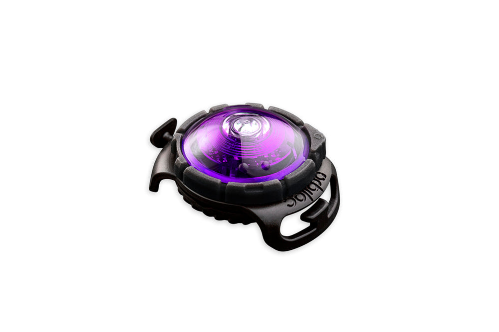 Orbiloc-Dog-Dual-Sicherheitslicht-Purple-Lila