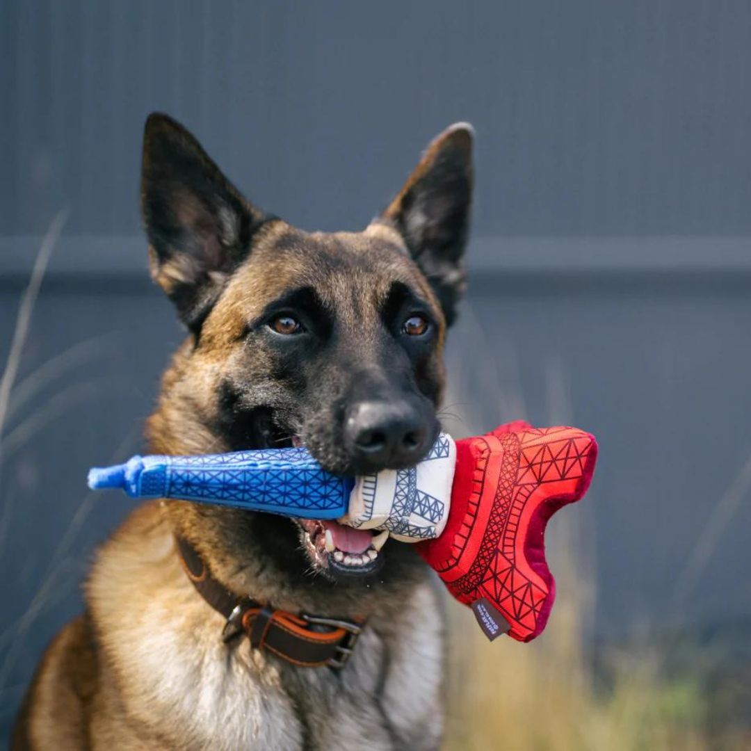 PLAY-Hundespielzeug-Eiffelturm-Hund-gross