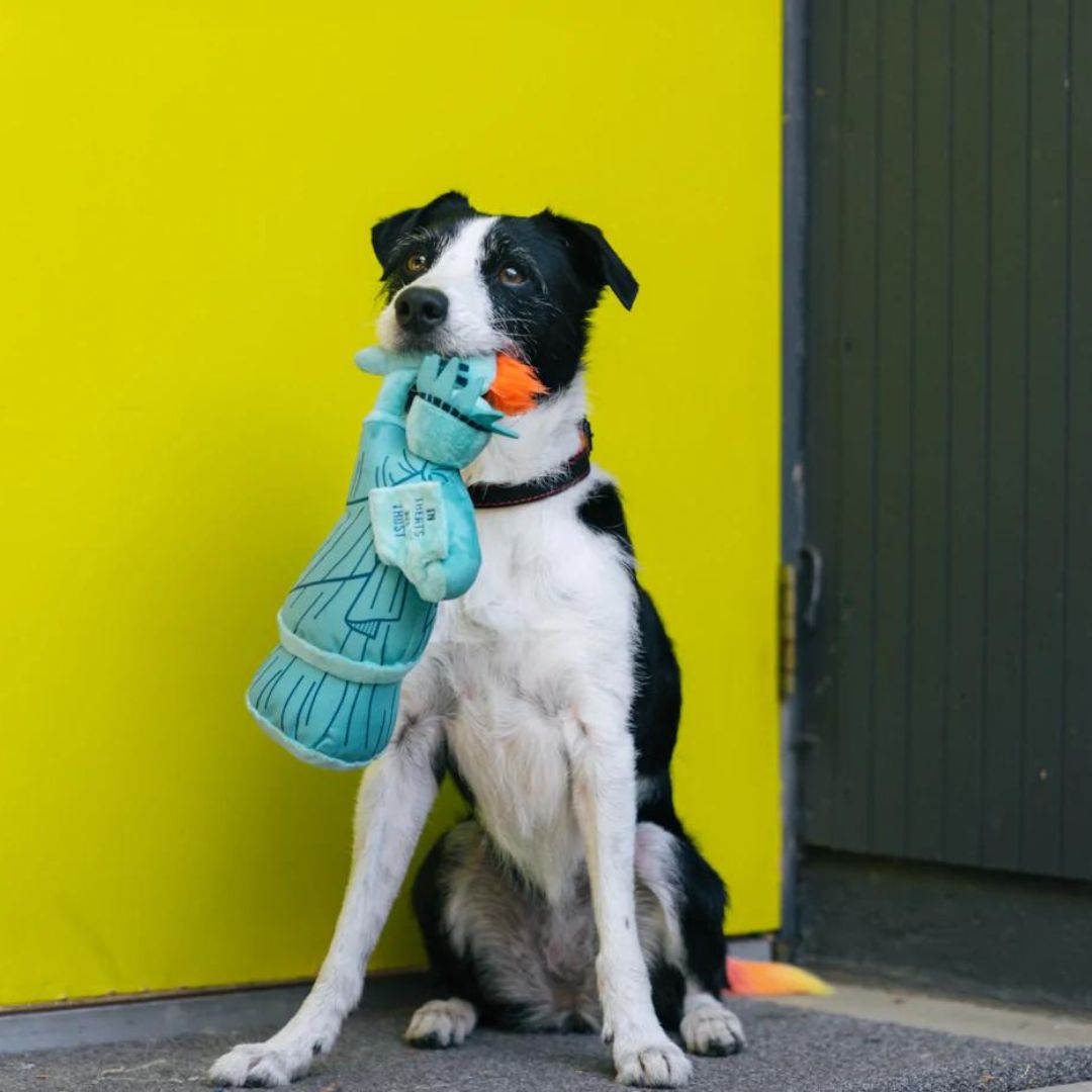 PLAY-Hundespielzeug-Miss-Liberty-Hund-gross