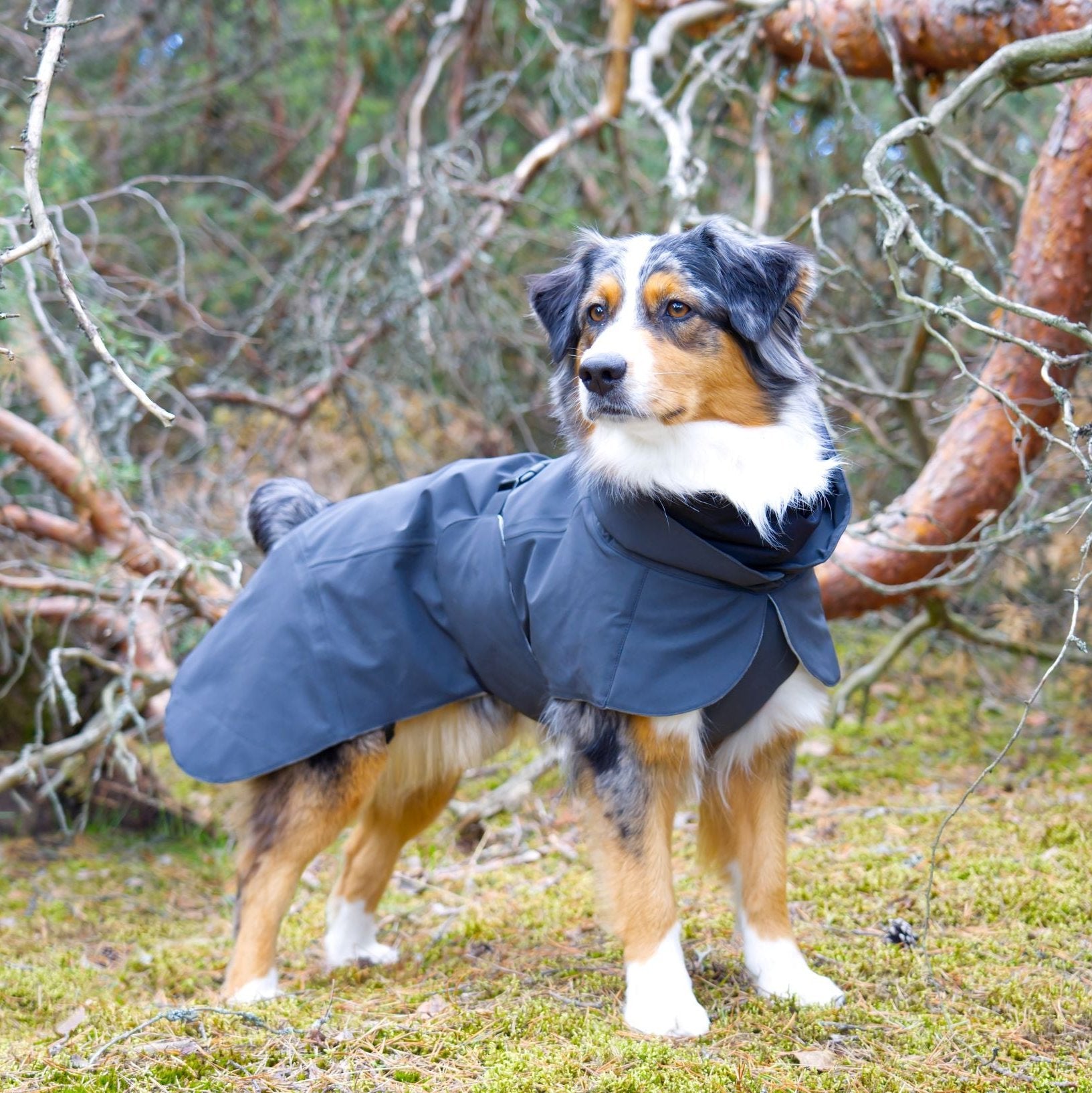 Paikka-Vollreflektierender-Hundewintermantel-Dark-Mood2