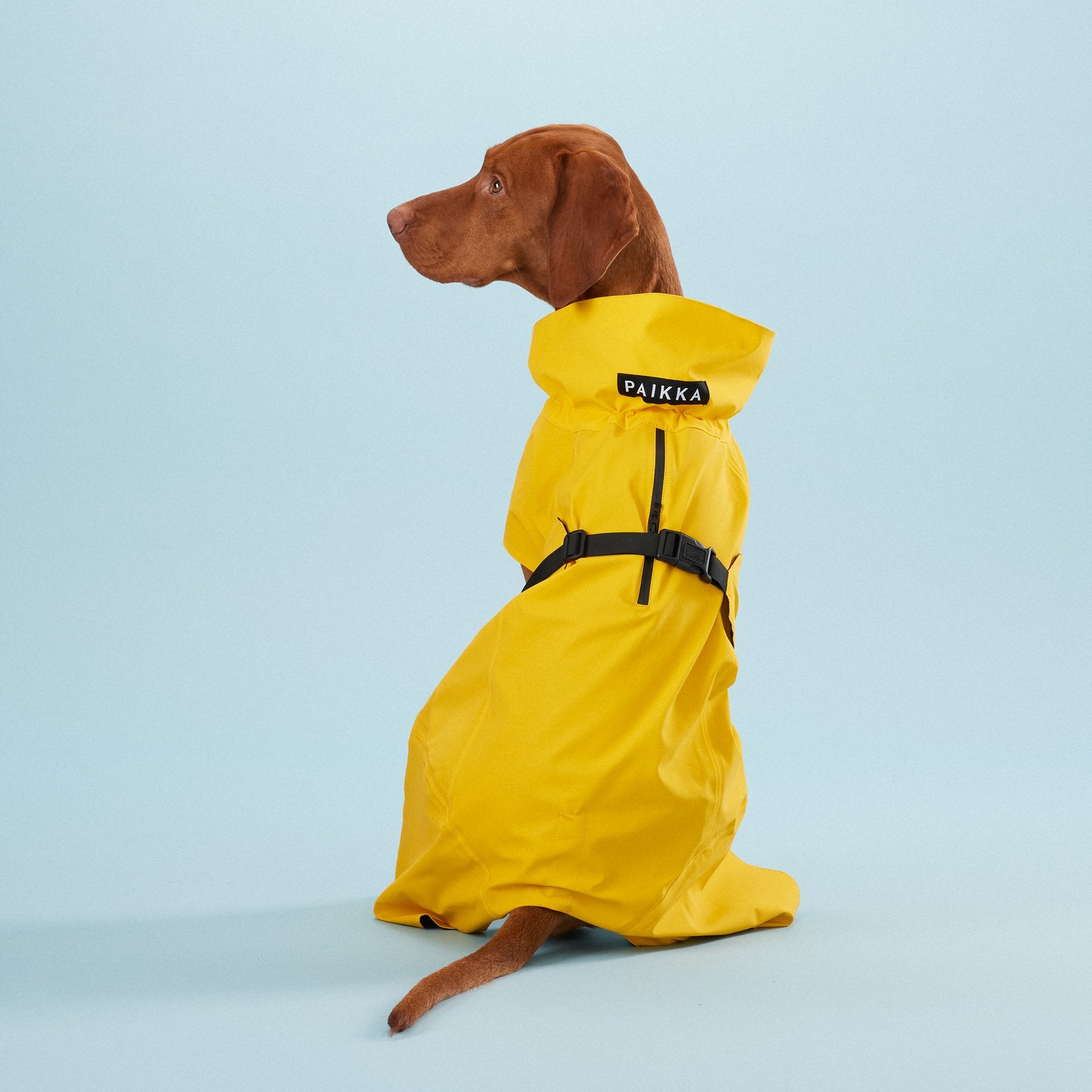 Vollreflektierender Hunderegenmantel Lite Yellow