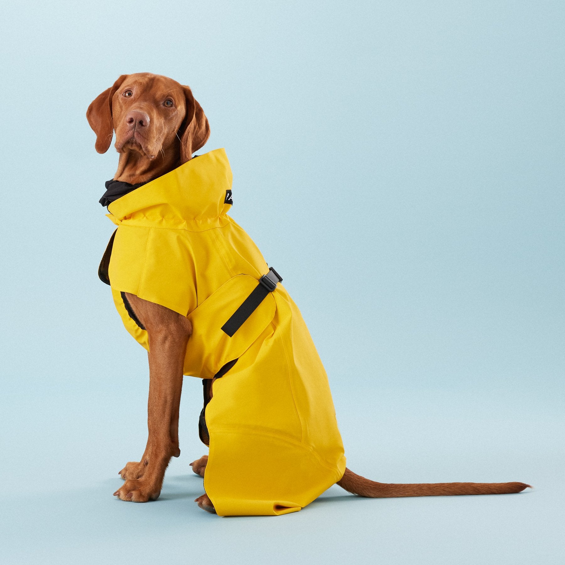 Vollreflektierender Hunderegenmantel Lite Yellow