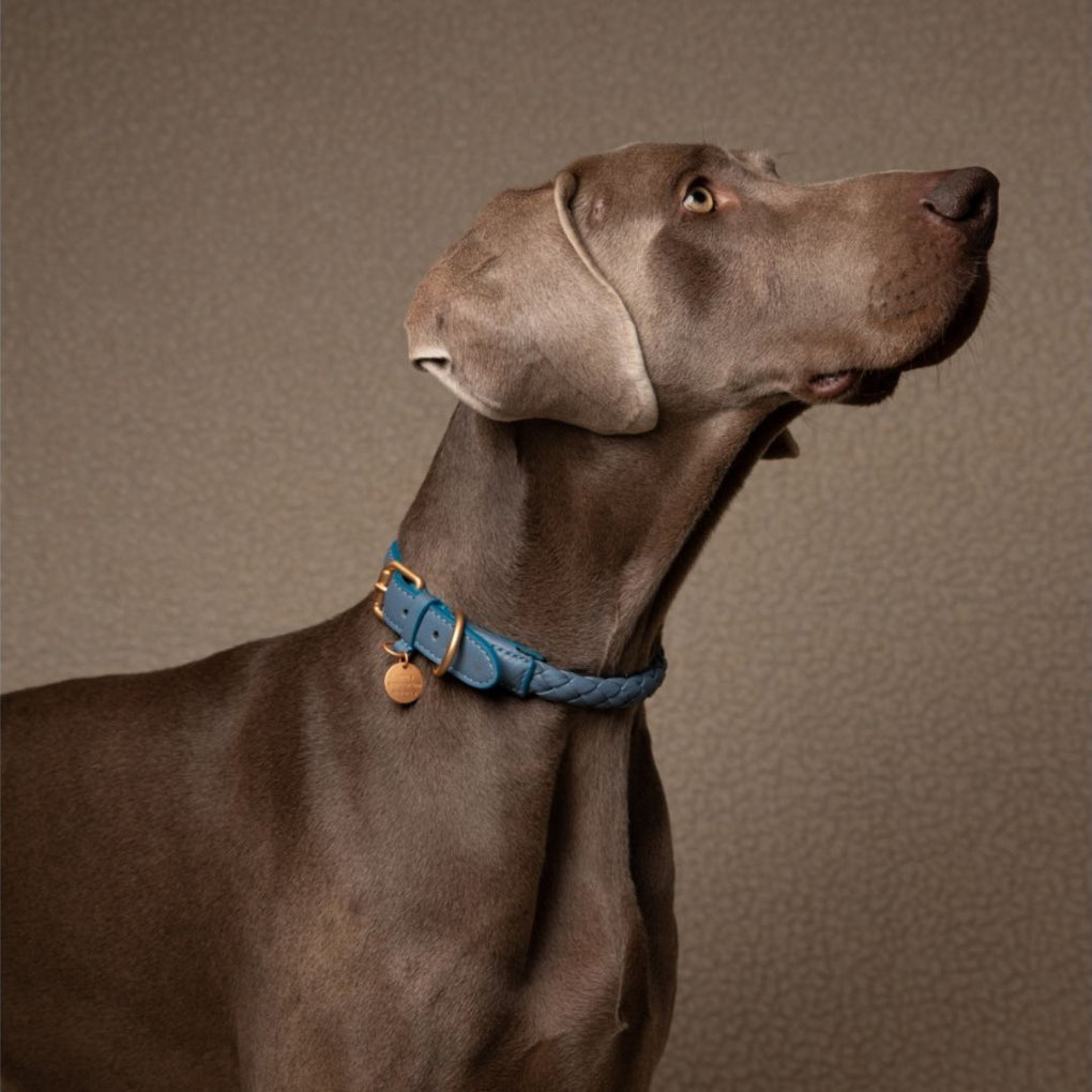 Hundehalsband - Ferdinando - 2.8 design for dogs - Leder - Dusty