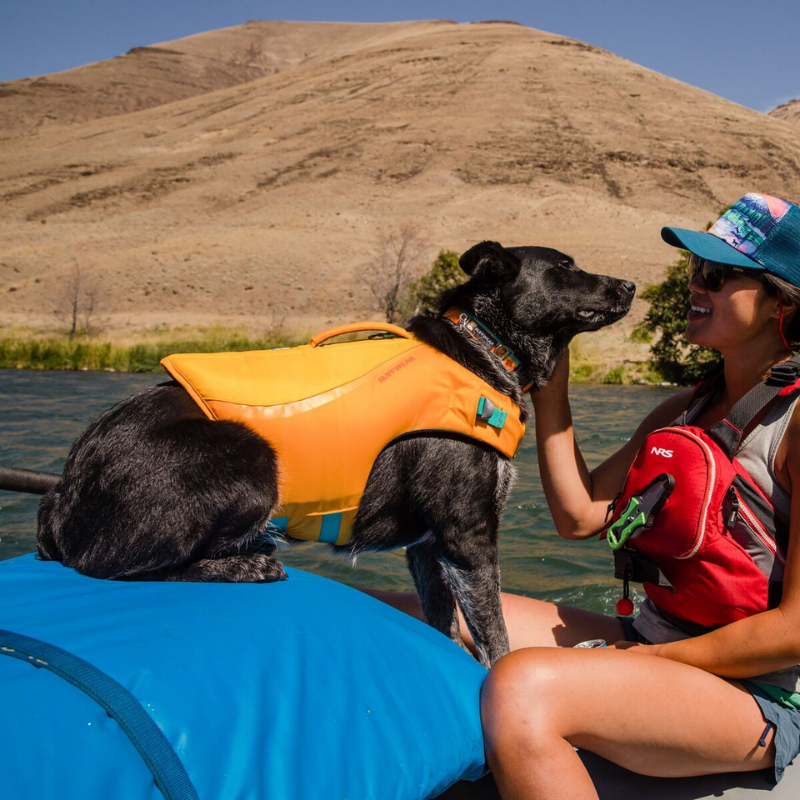 Schwimmweste für Hunde Float Coat™ Wave Orange
