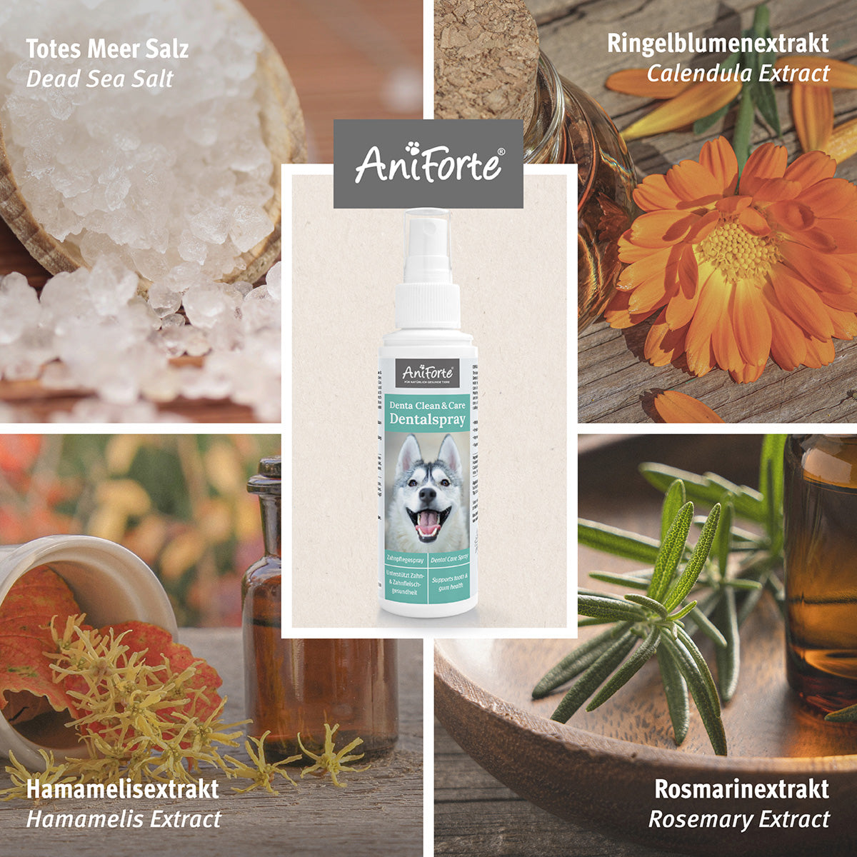 Aniforte-Denta-Clean-Care-Dentalspray-Inhaltsstoffe