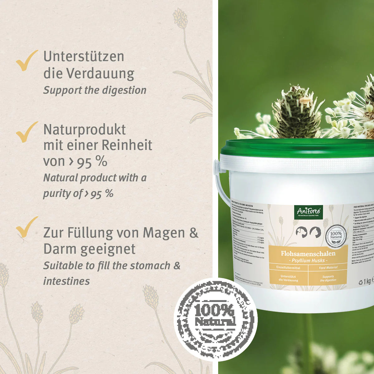 Aniforte-Flohsamenschalen-Wirkung