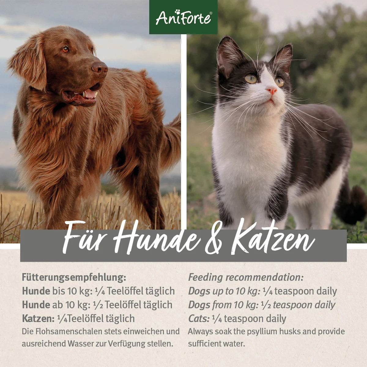 Aniforte-Flohsamenschalen-Fütterungsempfehlung
