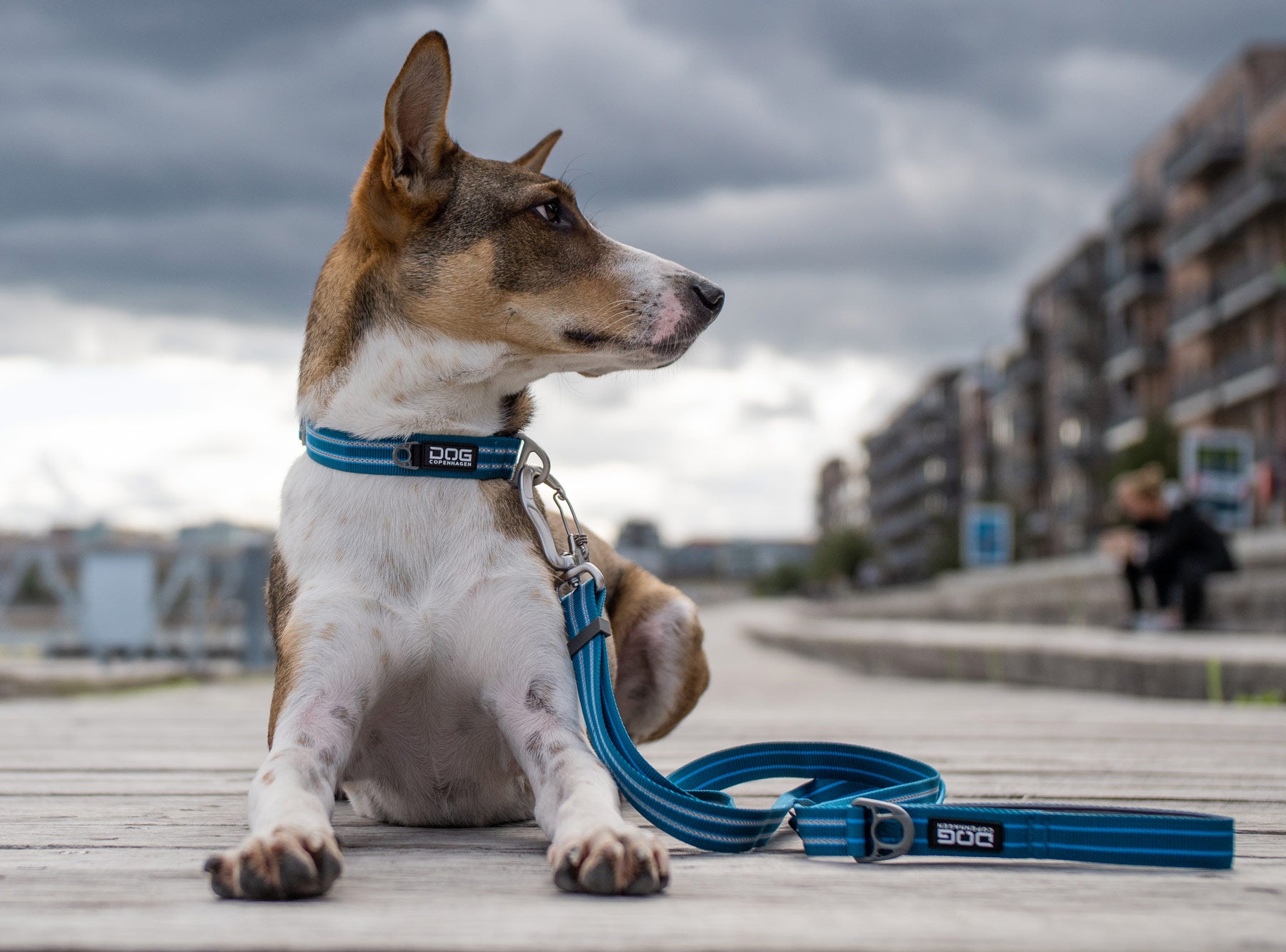 Dog-Copenhagen-Urban-Style-Collar-Halsband-Ocean-Blue