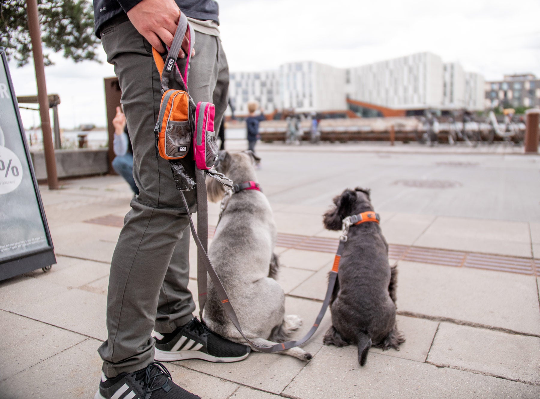 Dog-Copenhagen-Urban-Trail-City-Leash-Leine