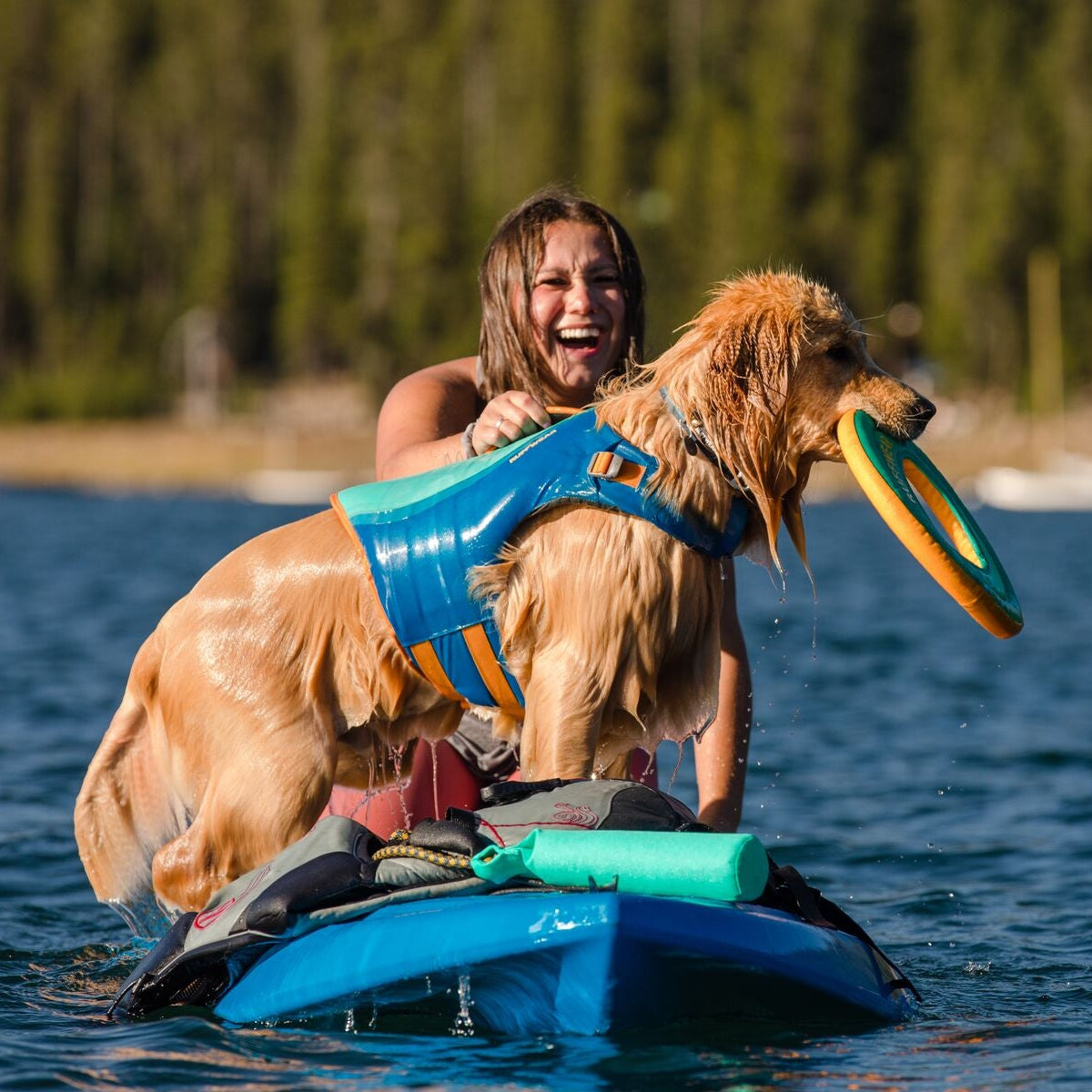 Ruffwear-Hundeschwimmweste-Float-Coat-Blue-Dusk-Wasser