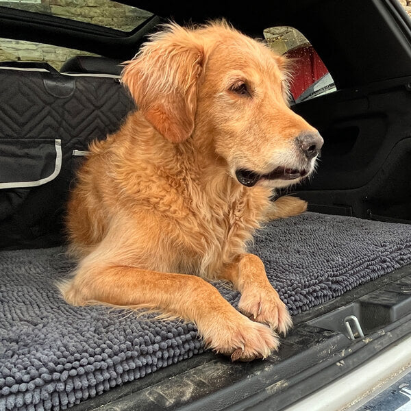 Wolters-Cleankeeper-Reisepad-Hellgrau-Hund
