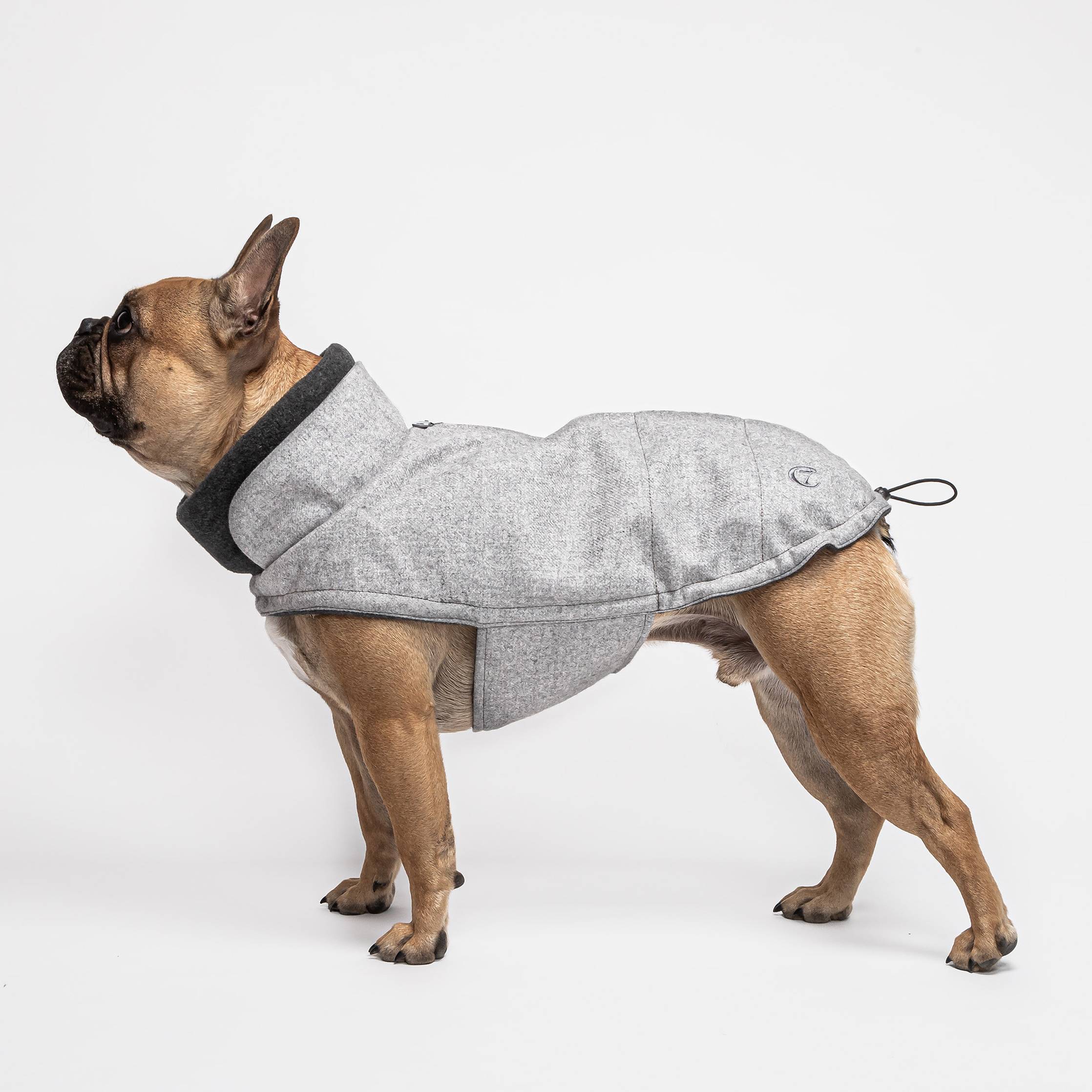 cloud7-hundemantel-brooklyn-flannel-grey-bulldoge-hund