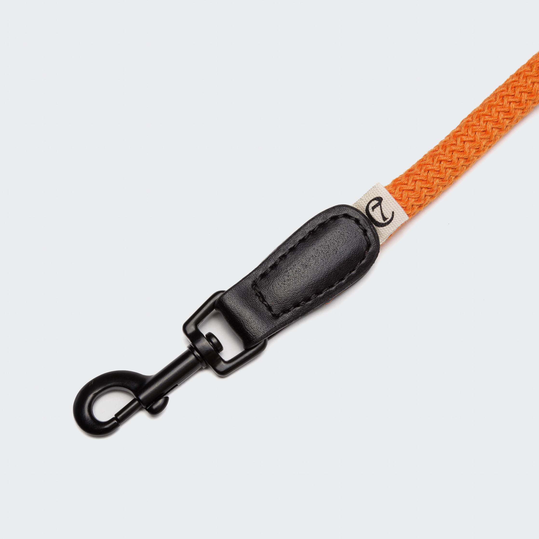 Cloud7-Hundeleine-Mauerpark-Orange-Karabiner