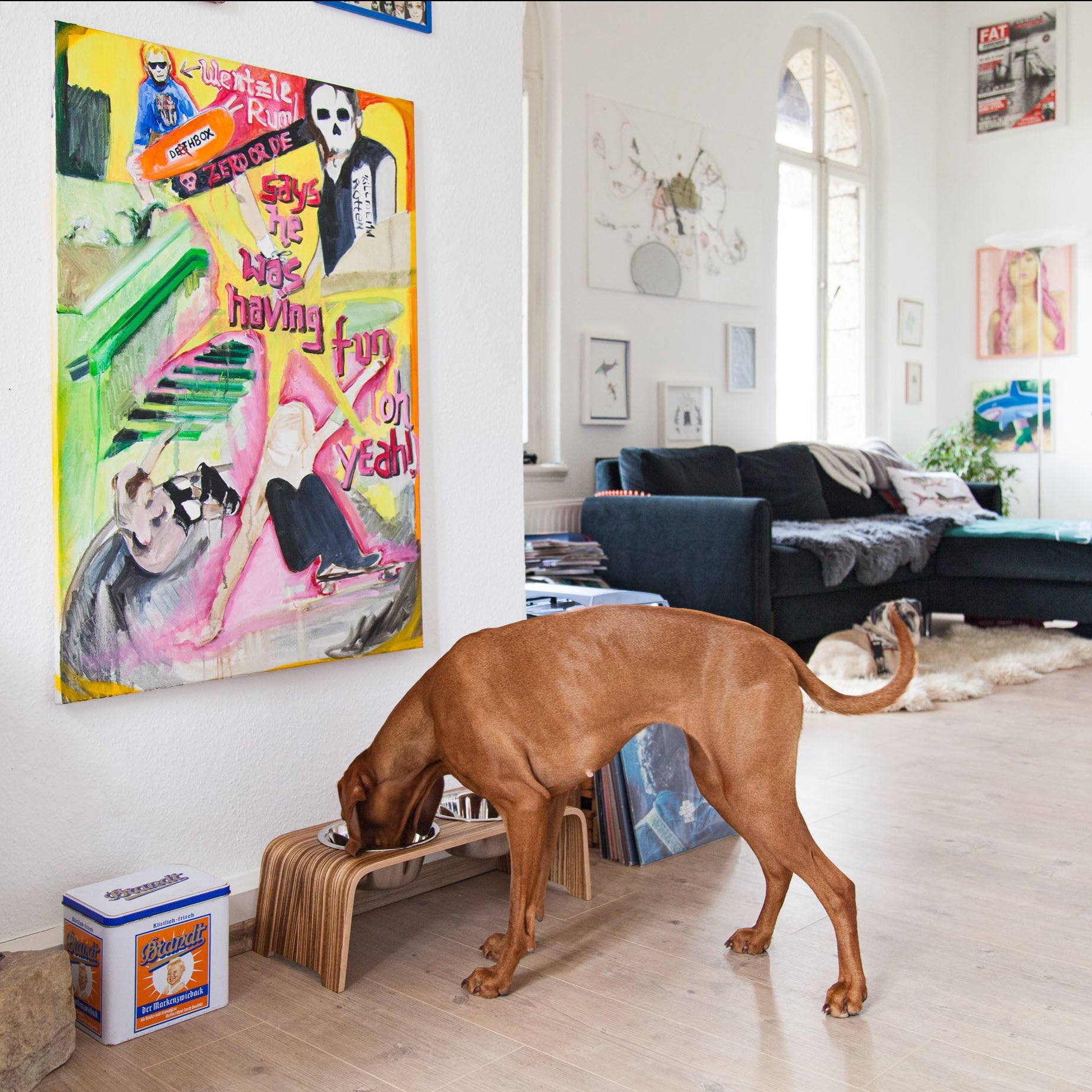 dogBar® Nussbaum