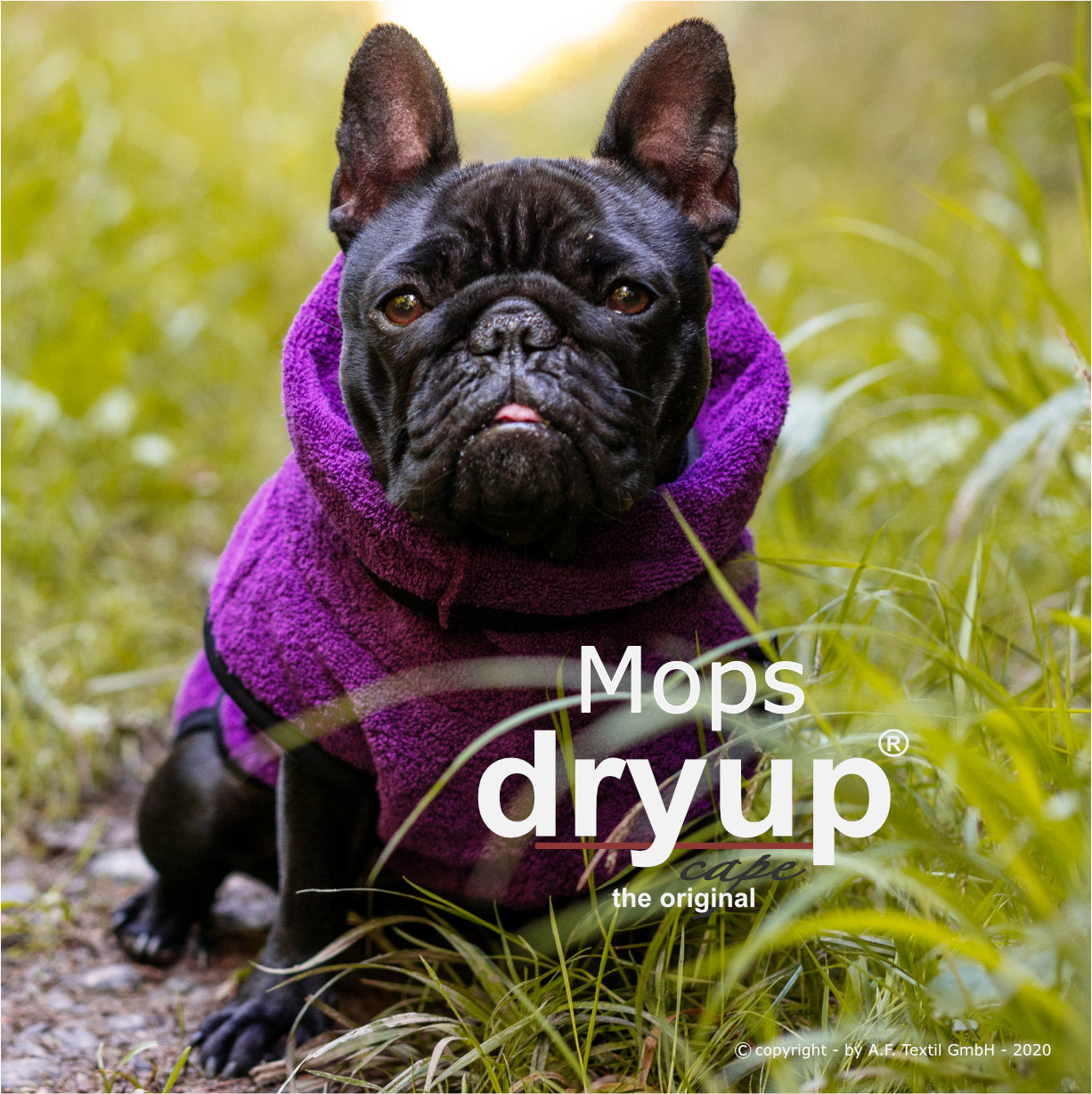 Hundebademantel-Dryup-Cape-Mops-Bilberry-Hund