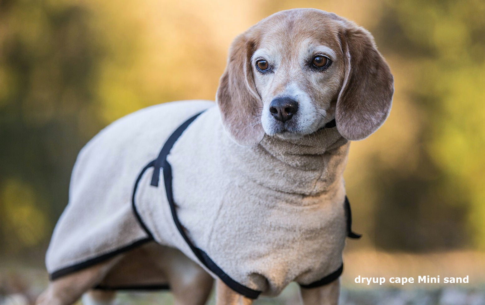 Hundebademantel-Dryup-Cape-Mini-Sand-Hund