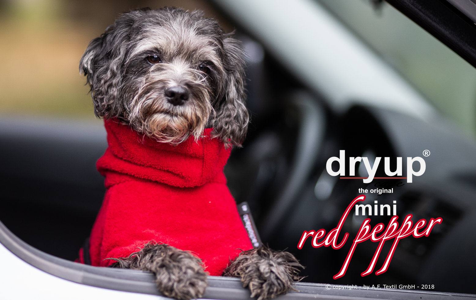 Hundebademantel-Dryup-Cape-Mini-Red-Pepper-Hund2