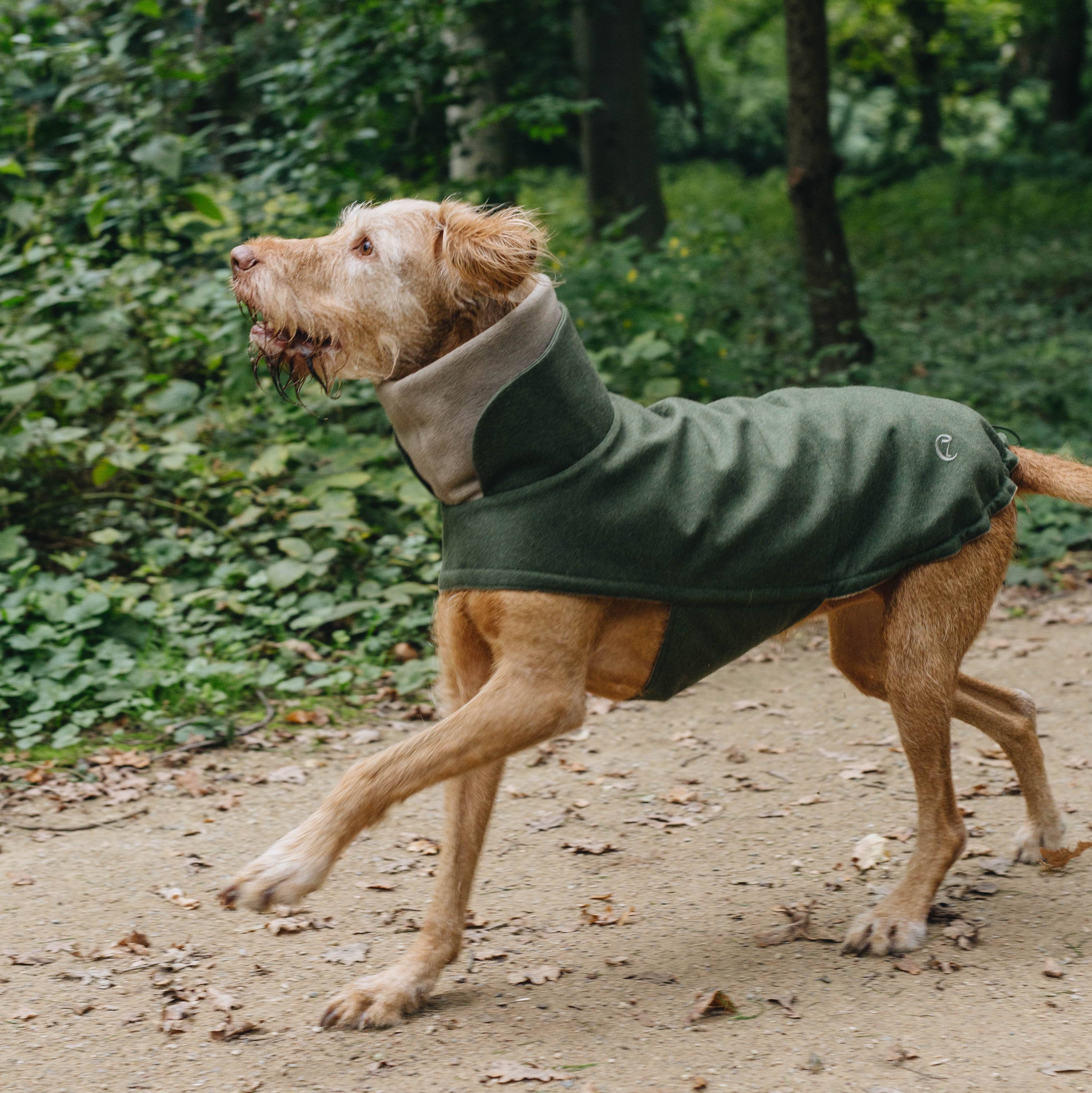 cloud7-hundemantel-brooklyn-flanell-fern-green-Hund