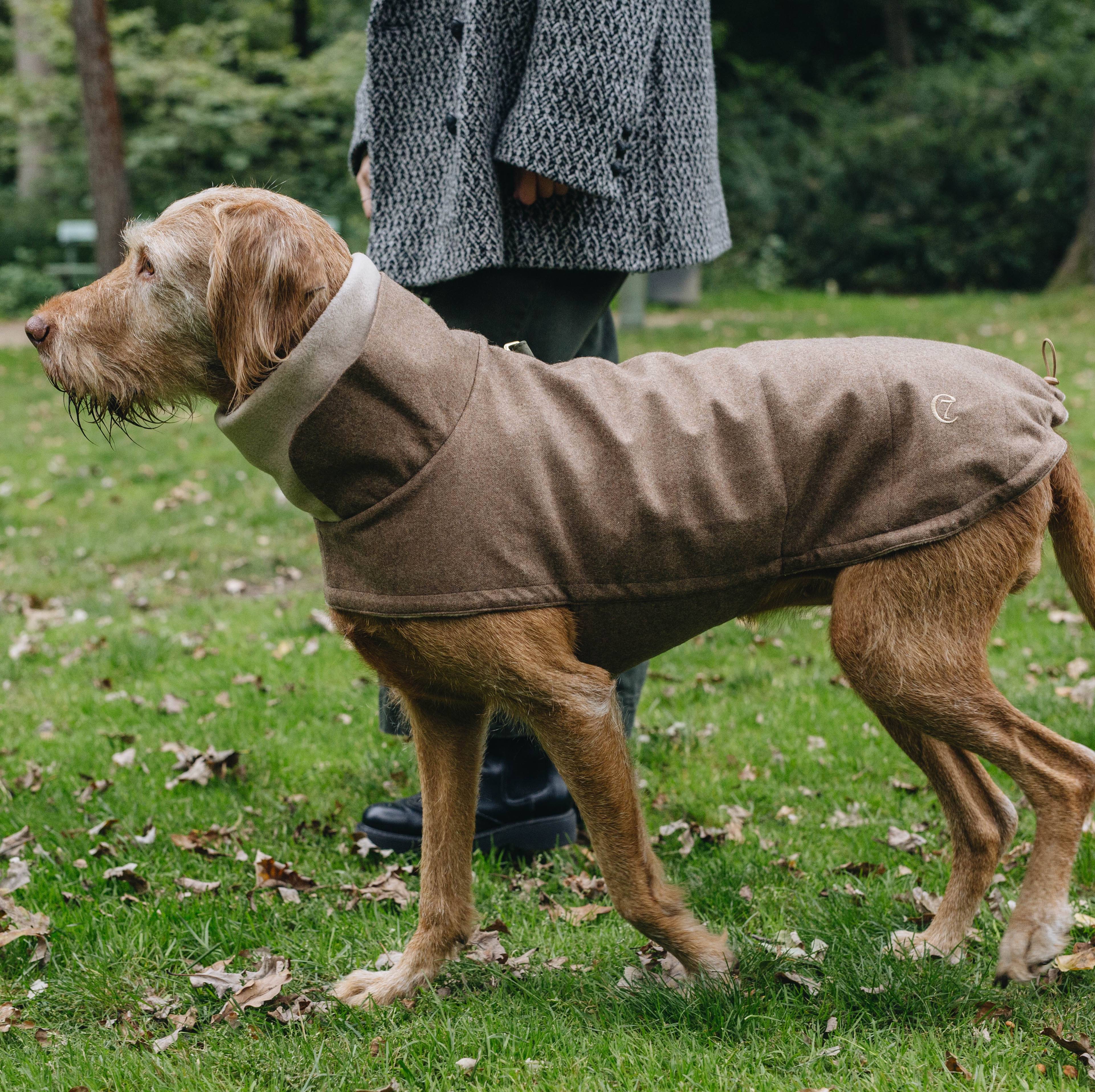 cloud7-hundemantel-brooklyn-flanell-hazel-hund