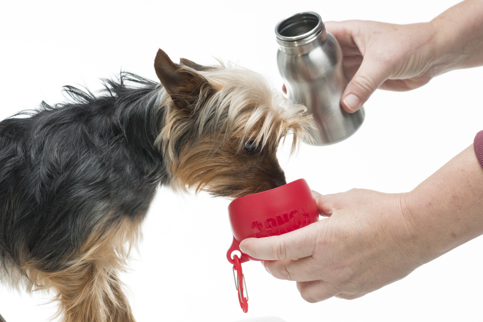 KONG-Trinkflasche-mit-Napf-Schwarz-klein