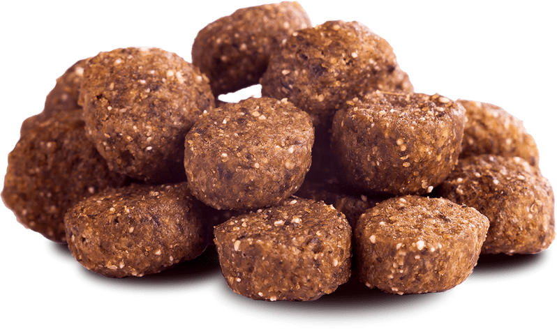The-Goodstuff-Trockenfutter-Huhn-Puppy-Junior-Kibbles