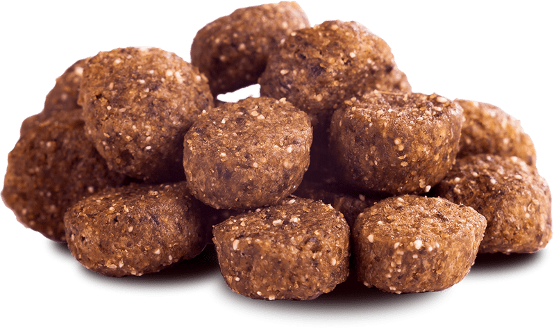The-Goodstuff-Minis-Lachs-Adult-1kg-Kroketten