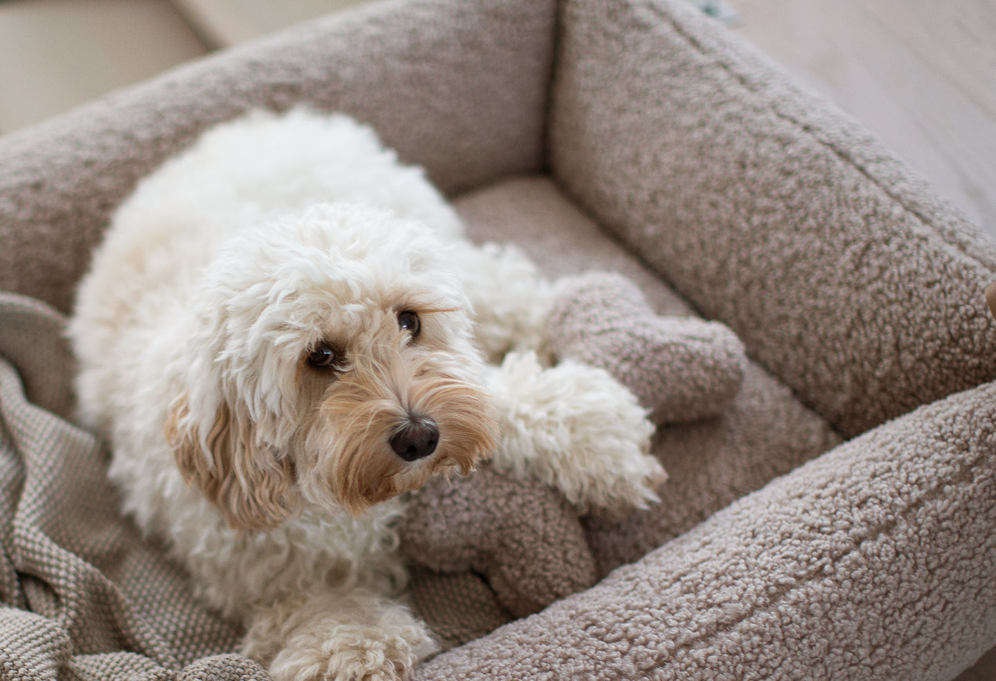 MiaCara-Hundespielzeug-Plüschknochen-Senso-Greige-Hund